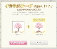 ミラクル35回目20130405：桜の鉢植え.jpg